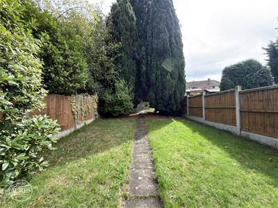 Picture 26